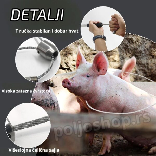 sajla za hvatanje svinja